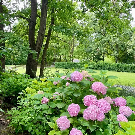 Tenuta Montebello * Rocca Grimalda