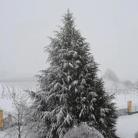 Tenuta Montebello Farmház