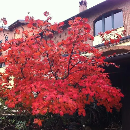 Tenuta Montebello * Rocca Grimalda