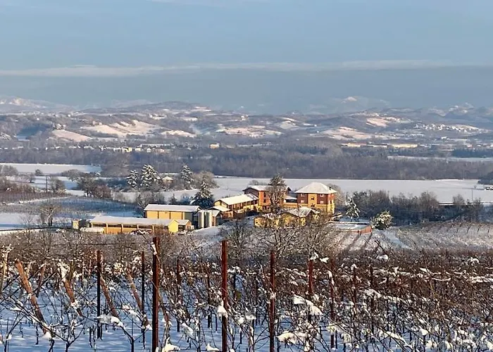 Tenuta Montebello * Rocca Grimalda