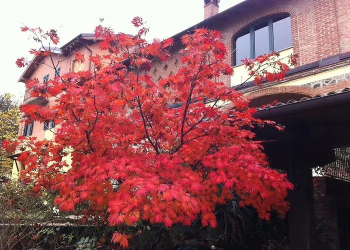 Tenuta Montebello * 로카 그리말다